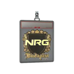 Sticker Slab | NRG (Gold) | Budapest 2025