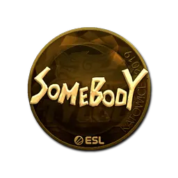 Sticker | somebody (Gold) | Katowice 2019
