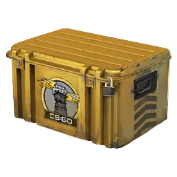 Glove Case