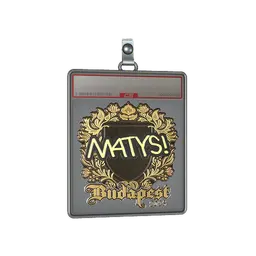 Sticker Slab | MATYS (Gold) | Budapest 2025