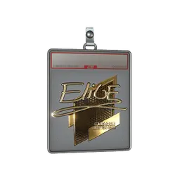 Sticker Slab | EliGE (Gold) | Boston 2018