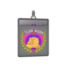 Sticker Slab | Teamwork (Holo)