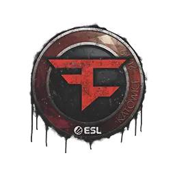 Sealed Graffiti | FaZe Clan | Katowice 2019