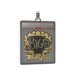 Sticker Slab | biguzera (Gold) | Budapest 2025