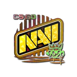 Sticker | Natus Vincere (Holo) | 2020 RMR
