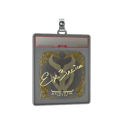 Sticker Slab | Ex3rcice (Gold) | Austin 2025