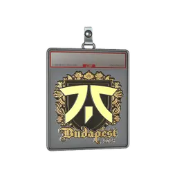 Sticker Slab | fnatic (Gold) | Budapest 2025