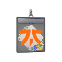 Sticker Slab | Fnatic | Rio 2022