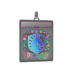 Sticker Slab | Team Liquid (Holo) | Budapest 2025