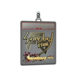 Sticker Slab | somebody (Gold) | Shanghai 2024
