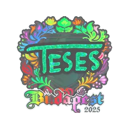 Sticker | TeSeS (Holo) | Budapest 2025
