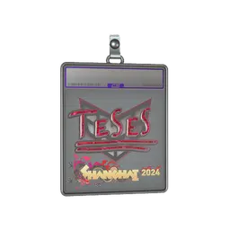 Sticker Slab | TeSeS (Glitter) | Shanghai 2024