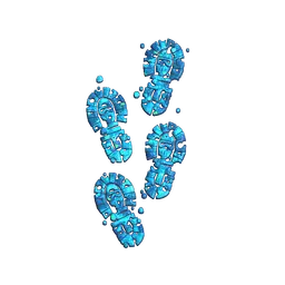 Sticker | CT Tracks (Glitter)