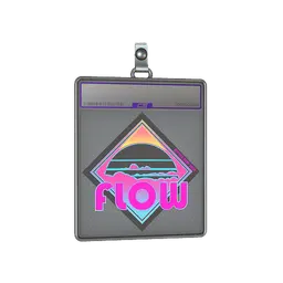 Sticker Slab | Miami Flow (Holo)
