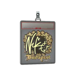 Sticker Slab | NiKo (Gold) | Budapest 2025