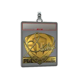 Sticker Slab | steel (Gold) | Krakow 2017