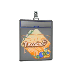 Sticker Slab | nicoodoz | Rio 2022