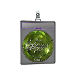 Sticker Slab | COLDYY1 (Foil) | Katowice 2019