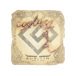Sticker | cool4st | Austin 2025