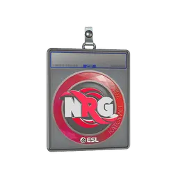 Sticker Slab | NRG | Katowice 2019
