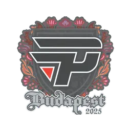 Sticker | paiN Gaming | Budapest 2025