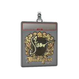 Sticker Slab | Staehr (Gold) | Budapest 2025