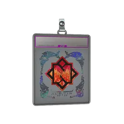 Sticker Slab | Nemiga (Holo) | Austin 2025