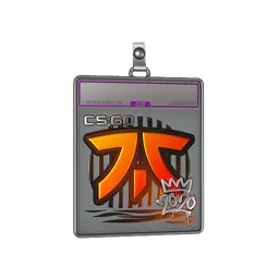 Sticker Slab | Fnatic (Foil) | 2020 RMR