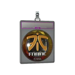 Sticker Slab | Fnatic (Foil) | Katowice 2019