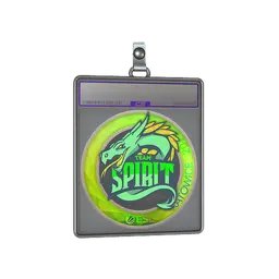 Sticker Slab | Team Spirit (Holo) | Katowice 2019