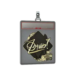 Sticker Slab | ZywOo (Gold) | Rio 2022