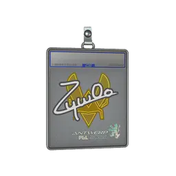 Sticker Slab | ZywOo | Antwerp 2022