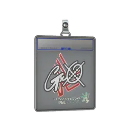 Sticker Slab | gxx- | Antwerp 2022