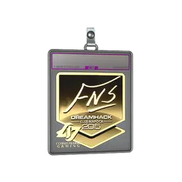 Sticker Slab | FNS (Gold) | Cluj-Napoca 2015