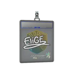 Sticker Slab | EliGE | Antwerp 2022