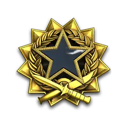 2017 Service Medal