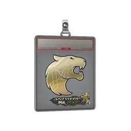 Sticker Slab | FURIA (Gold) | Antwerp 2022