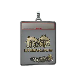 Sticker Slab | woxic (Gold) | Antwerp 2022