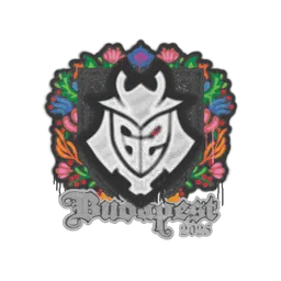 Sealed Graffiti | G2 esports | Budapest 2025