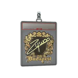 Sticker Slab | ZywOo (Gold) | Budapest 2025