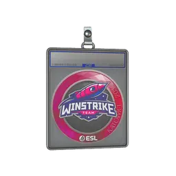 Sticker Slab | Winstrike Team | Katowice 2019