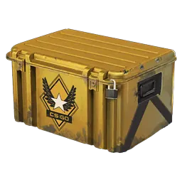 Winter Offensive Weapon Case