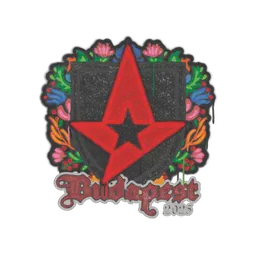Sealed Graffiti | Astralis | Budapest 2025