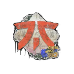 Sealed Graffiti | Fnatic | Rio 2022