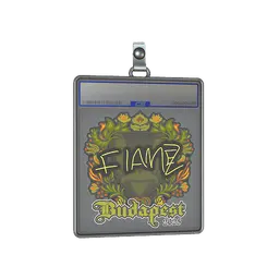 Sticker Slab | FlameZ | Budapest 2025