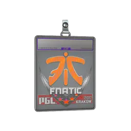 Sticker Slab | Fnatic (Holo) | Krakow 2017