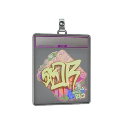Sticker Slab | sk0R (Holo) | Rio 2022