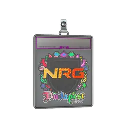Sticker Slab | NRG (Holo) | Budapest 2025