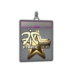 Sticker Slab | Fnatic (Gold) | Cluj-Napoca 2015