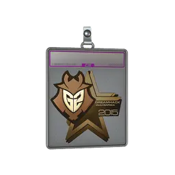 Sticker Slab | G2 Esports (Gold) | Cluj-Napoca 2015